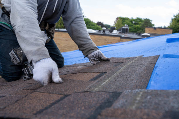 Best Flat Roof Repair Services  in Hastings, PA