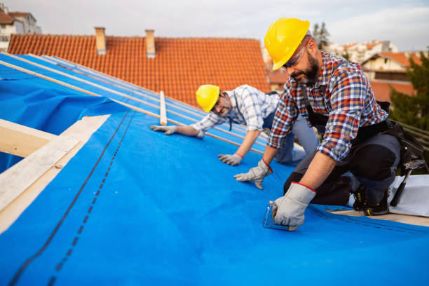 Best Roof Gutter Cleaning  in Hastings, PA