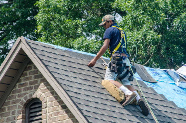Best Roof Maintenance Services  in Hastings, PA